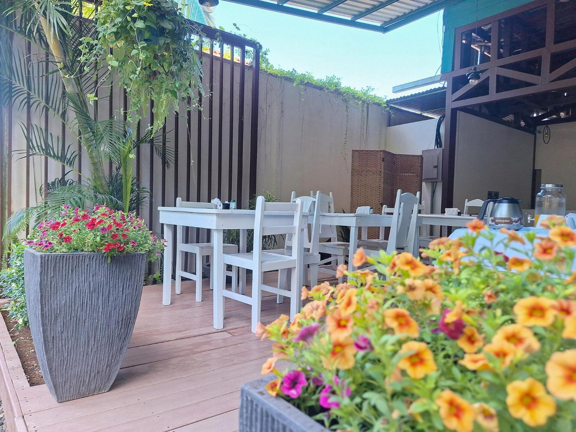Infiniti Hotel Puerto Viejo de Talamanca エクステリア 写真