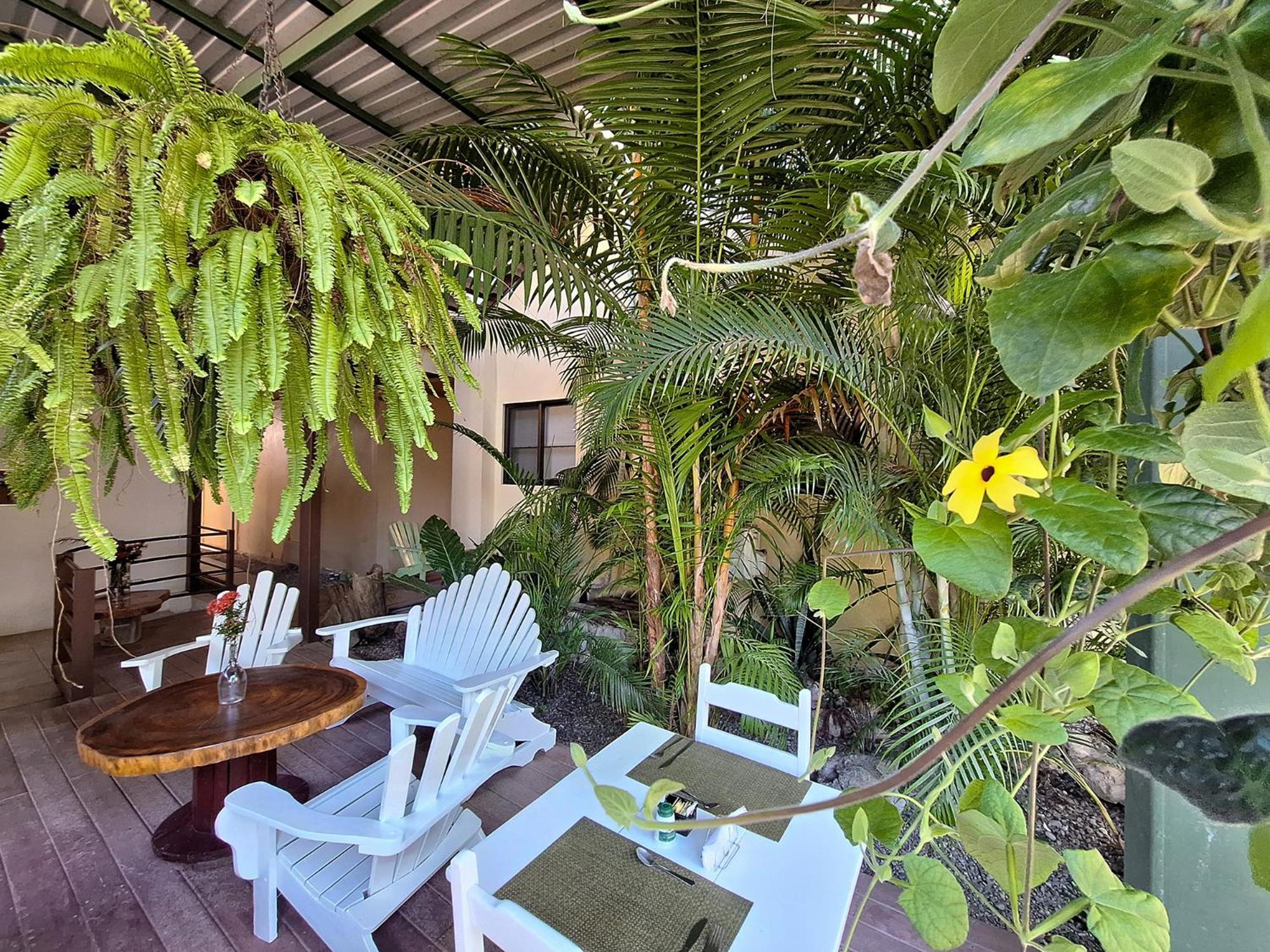 Infiniti Hotel Puerto Viejo de Talamanca エクステリア 写真