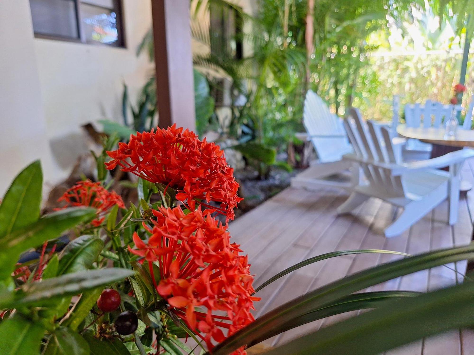 Infiniti Hotel Puerto Viejo de Talamanca エクステリア 写真